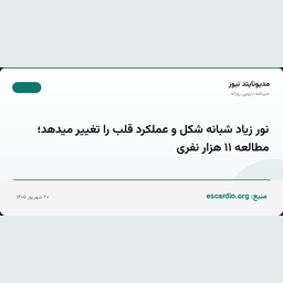 نور زیاد شبانه شکل و عملکرد قلب را تغییر میدهد؛ مطالعه ۱۱ هزار نفری