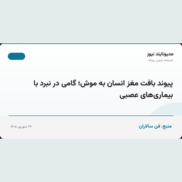 پیوند بافت مغز انسان به موش؛ گامی در نبرد با بیماری‌های عصبی